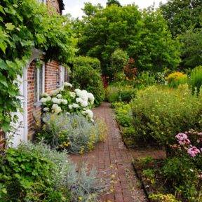 Traditional English Village Cottage full of colorful Summer Flowers